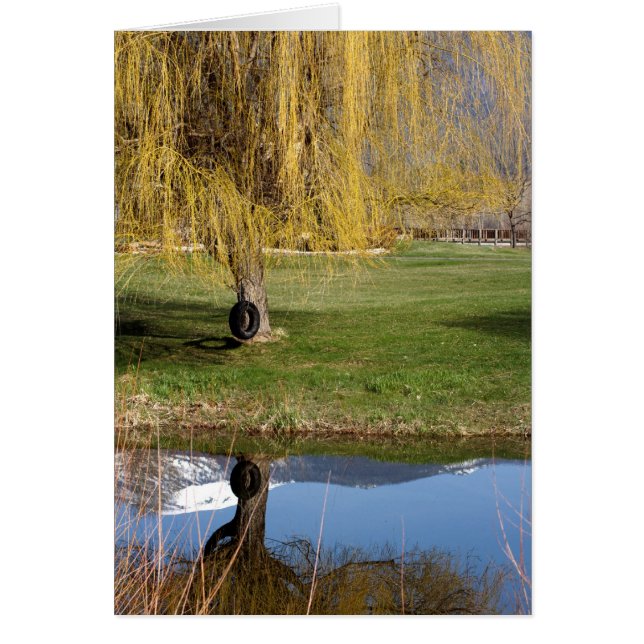 Cartão Placa de conforto de pond primavera (Frente)