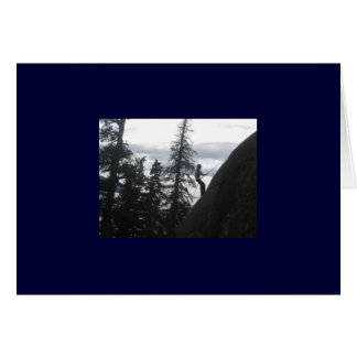 Cartão Placa de correção