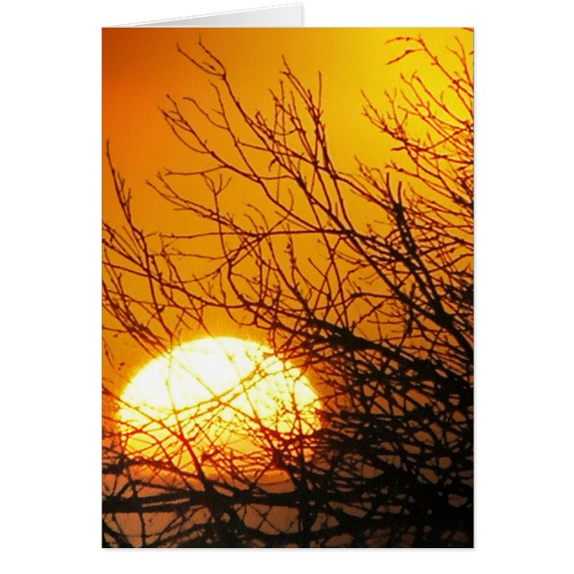 Cartão Placa de Delícias Sunset (Frente)