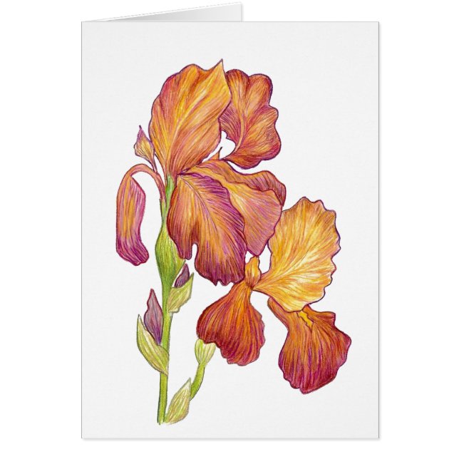 Cartão Placa de dentro do vazio Iris (Frente)