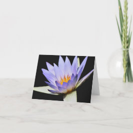 Cartão Placa de dentro do vazio nº 7 00700