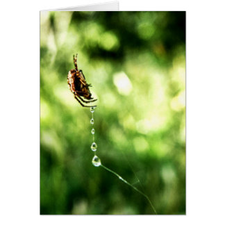 Cartão Placa de descarte de aranha