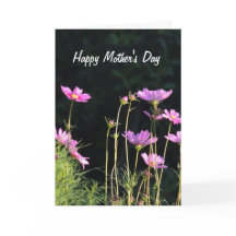 Placa de Dia de as mães Cosmos Rosa