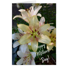 Cartão Placa de Dia de as mães das Flores Amarelas Espeta