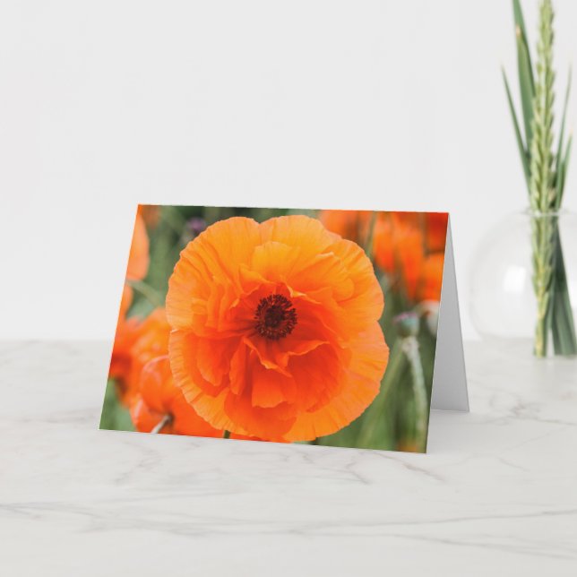 Cartão Placa de Dia de as mães de Flores Brilhantes (Frente)