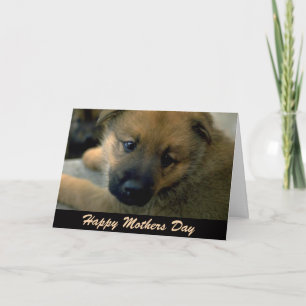 Cartão Placa de dia de as mães do Cachorro, Cachorro