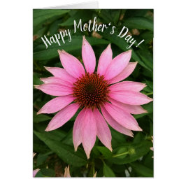 Cartão Placa de Dia de as mães do ConEFlower Puro Brilhan