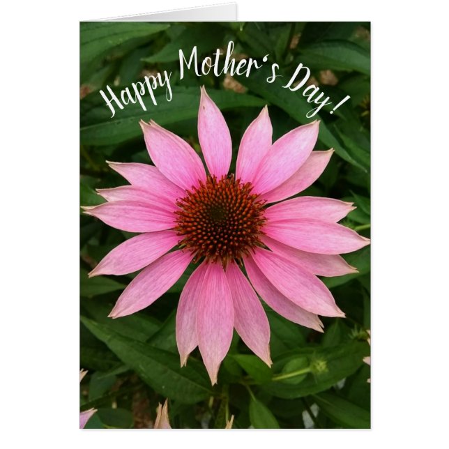 Cartão Placa de Dia de as mães do ConEFlower Puro Brilhan (Frente)