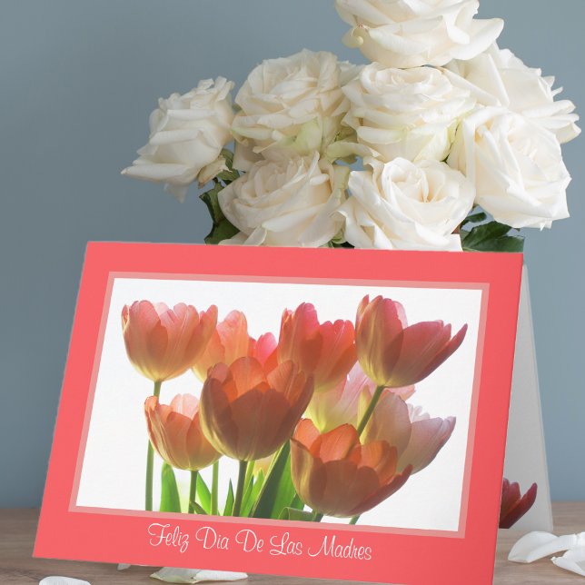 Cartão Placa de Dia de as mães espanhola (Criador carregado)