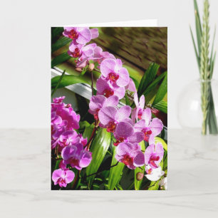 Cartão placa de dia de as mães feliz