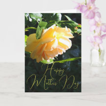 Placa de Dia de as mães Feliz Rosa Amarelo-Brilhan