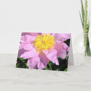 Cartão PLACA DE dia de as mães, FLOR DE TINTA DE BEBÊ GRA