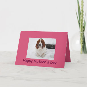 Cartão Placa de Dia de as mães Hound Basset