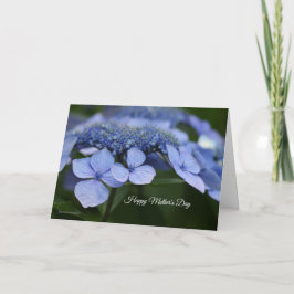 Cartão Placa de Dia de as mães Hydrangea