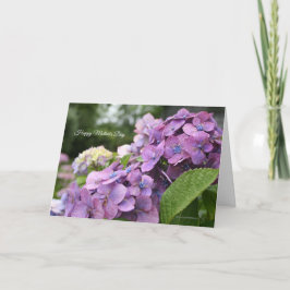 Cartão Placa de Dia de as mães Hydrangea