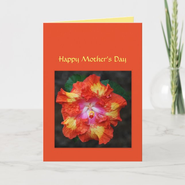 Cartão Placa de Dia de as mães Red Hot Hibiscus (Frente)