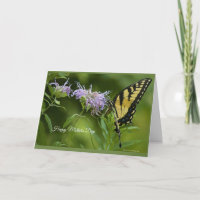 Placa de Dia de as mães Swallowtail do Tigre Orien