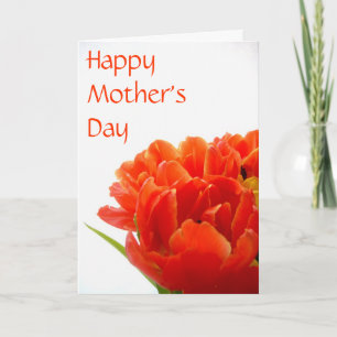 Cartão Placa de Dia de as mães Tulips Colorida
