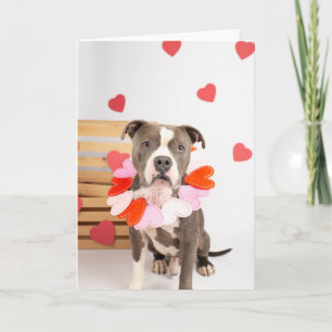 Cartão Placa de dia de os namorados