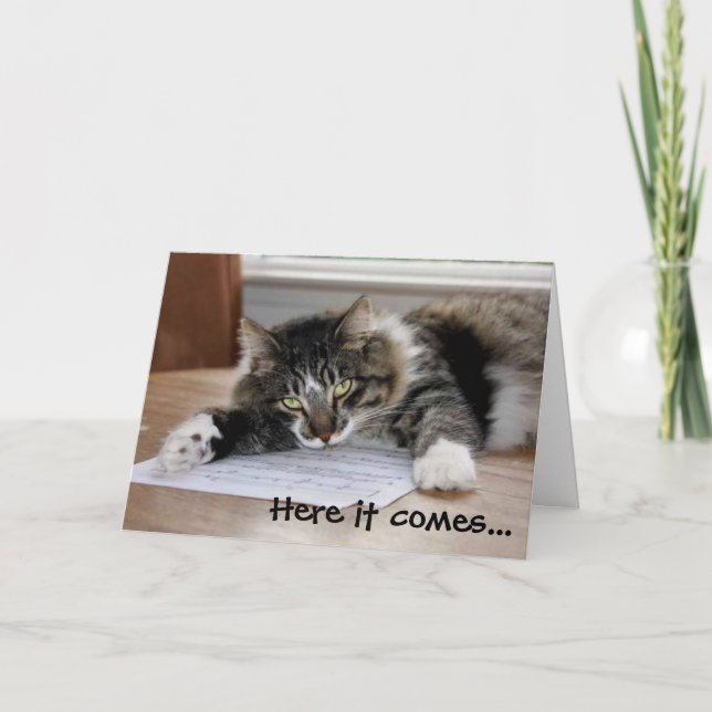 Cartão Placa de Dia de os pais de Gato de Hugging (Frente)