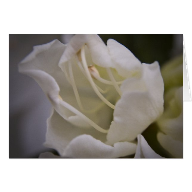 Cartão Placa de energia divina (Frente Horizontal)