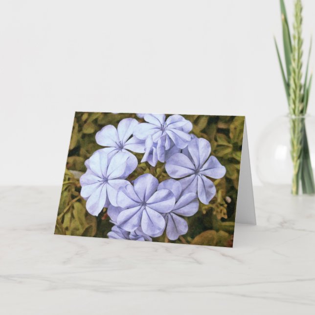 Cartão Placa De Escritura De Ferro Geranium Psalm 36:10 (Frente)