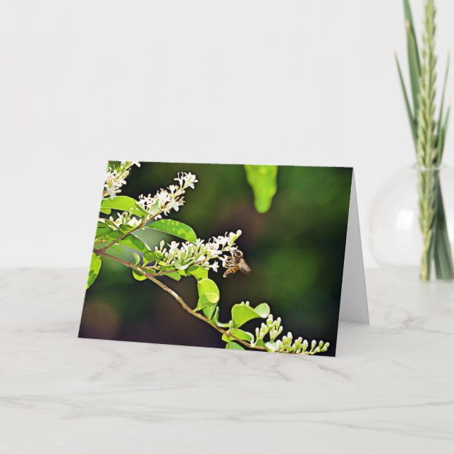 Cartão Placa de Escritura de Flor de Abelhas Salm 119:103 (Frente)