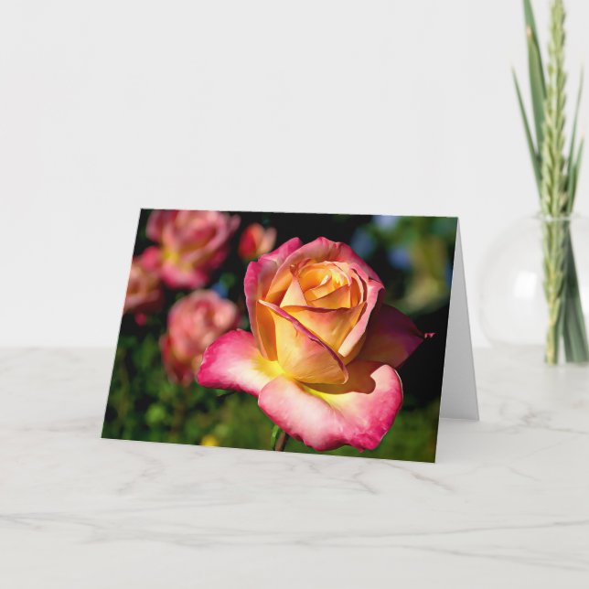 Cartão Placa de Escritura de Rosa de Casaco de Joseph Isa (Frente)