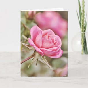 Cartão Placa de Escritura Rosa Rosa Rosa Rosa Escuro 2 Co