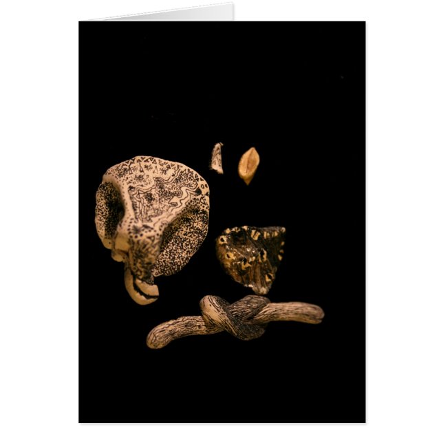 Cartão Placa de escultura de miniatura gráfica de microma (Frente)