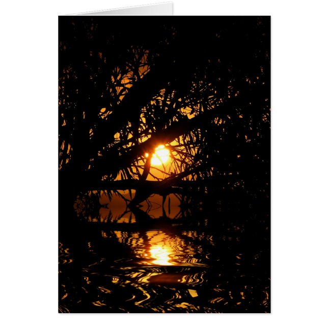 Cartão Placa de Escuridão do Sol (Frente)