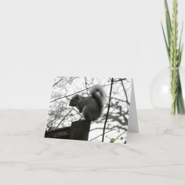 Cartão Placa de esquilo (Frente)