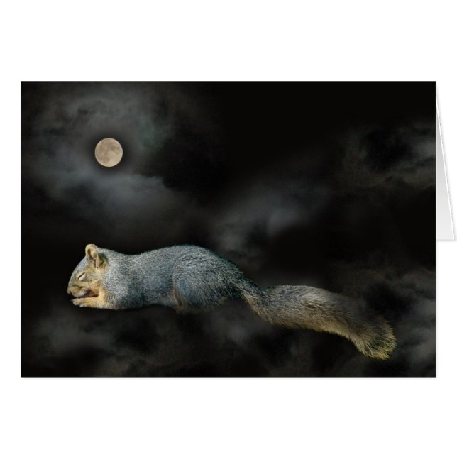 Cartão Placa de esquilo com sono (Frente Horizontal)