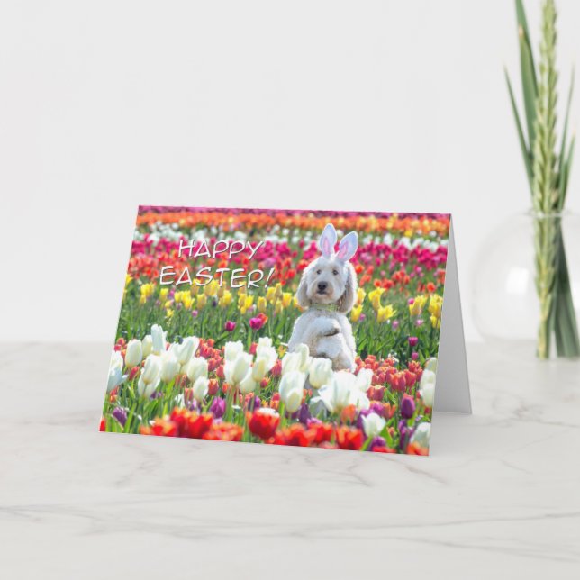 Cartão Placa de Felz pascoa de porta (Frente)