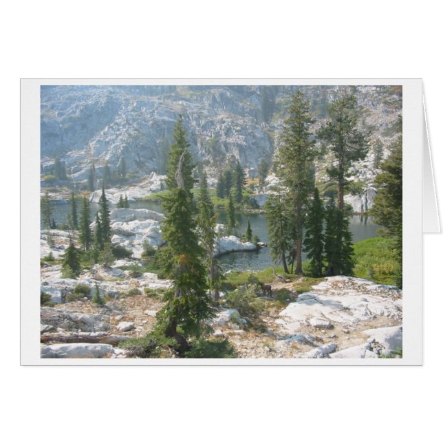 Cartão Placa de ferradura (Frente Horizontal)