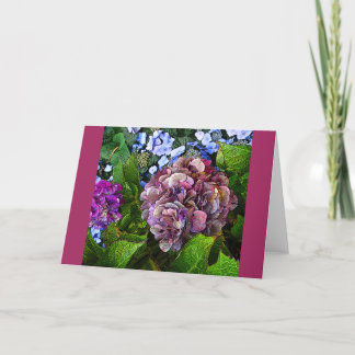 Cartão Placa de Flor Colorida Hydrangea