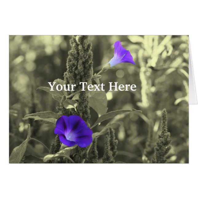 Cartão Placa De Flor Preta E Branca, Glórias De Manhã (Frente Horizontal)