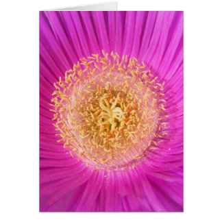 Cartão Placa de Flor Rosa