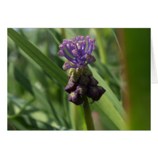 Cartão Placa de Flor Roxa