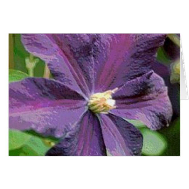 Cartão Placa de Flor Roxo Clematis (Frente Horizontal)