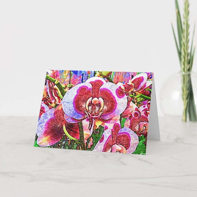 Cartão Placa de Flores Orquídeas Rosa e Branca (Frente)