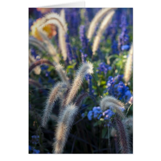 Cartão Placa de Flores Selvagens (Frente)