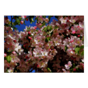 Cartão Placa de Fotografia do Flor do Primavera rosa