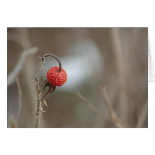Cartão Placa de Fruta selvagem