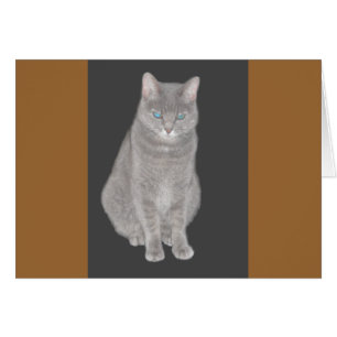 Cartão Placa de Gato de cinza