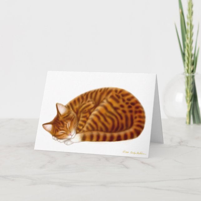 Cartão Placa de Gato de Tabby para Dormir (Frente)