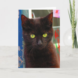 Cartão Placa de Gato Preto Adorável