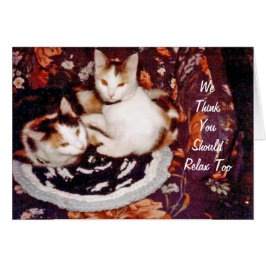 Cartão Placa de Gatos de Pensamento