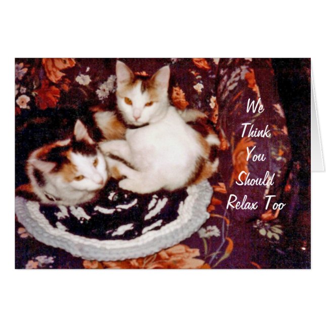 Cartão Placa de Gatos de Pensamento (Frente Horizontal)