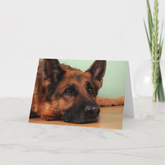 Cartão placa de german shepherd